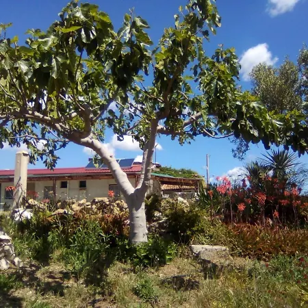 La Pergolina Di Segesta *