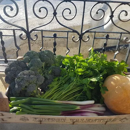 La Pergolina Di Segesta Frühstückspension *
