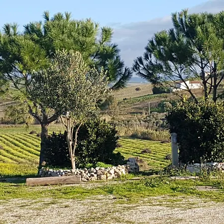 Bed & Breakfast La Pergolina Di Segesta Calatafimi